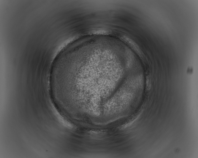 X0000092250725200710051258