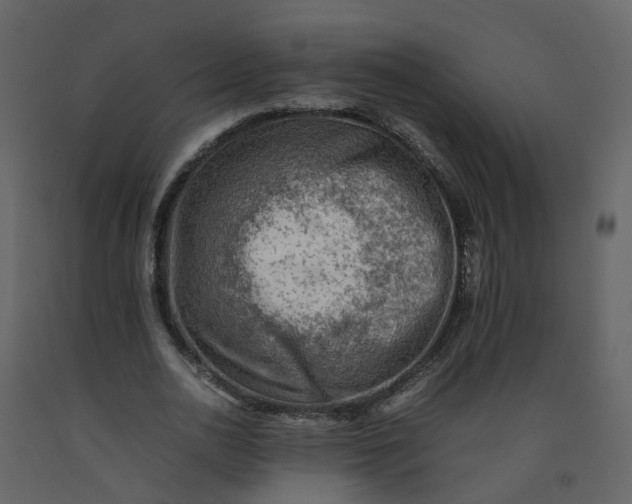 X0000092250726200710051258