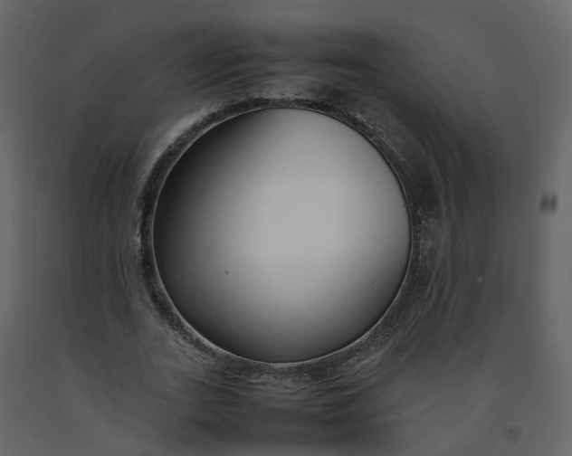 X0000092250727200710051258