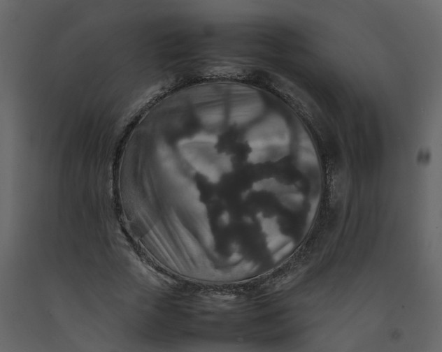 X0000092250729200710051258