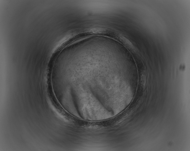 X0000092250730200710051258