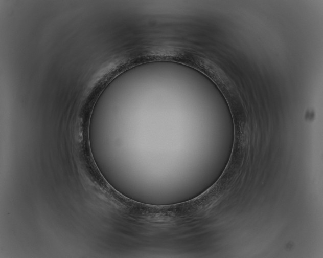 X0000092250731200710051258