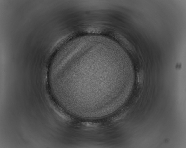 X0000092250733200710051258