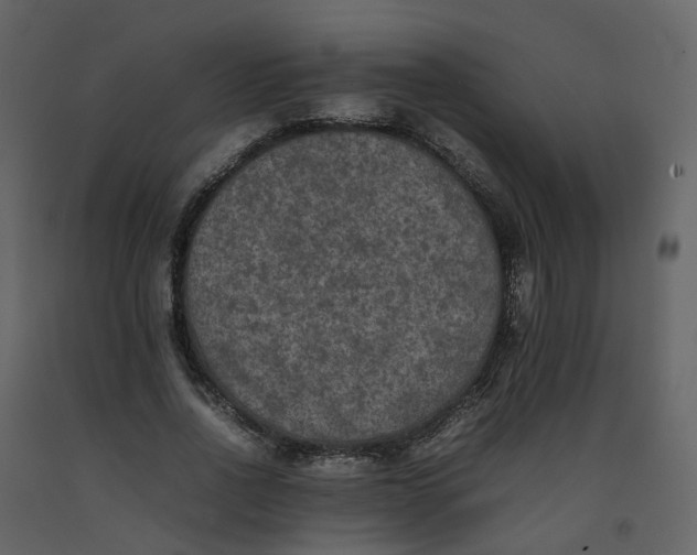 X0000092250734200710051258