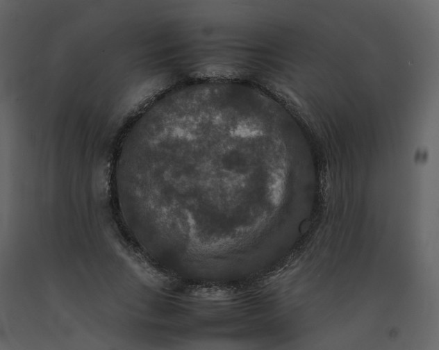 X0000092250735200710051258