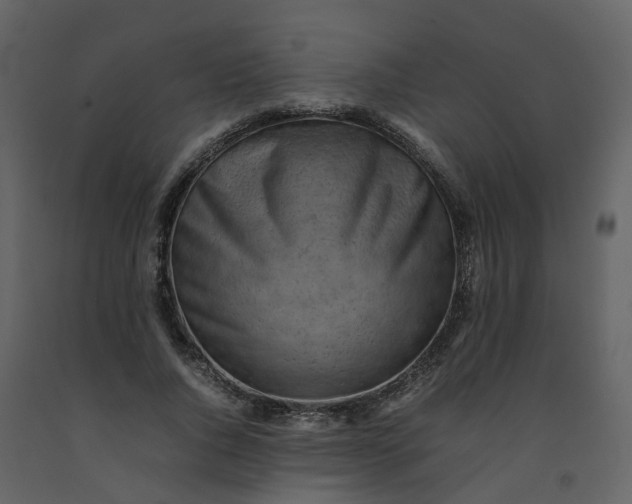 X0000092250736200710051258