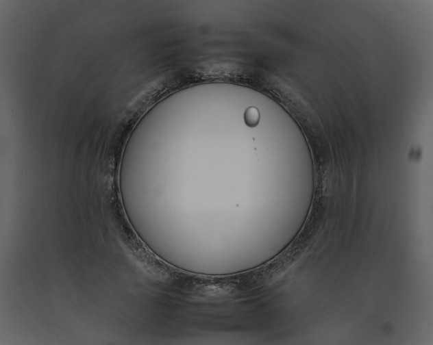 X0000092250737200710051258