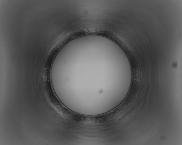 X0000092250738200710051258