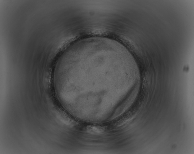 X0000092250739200710051258