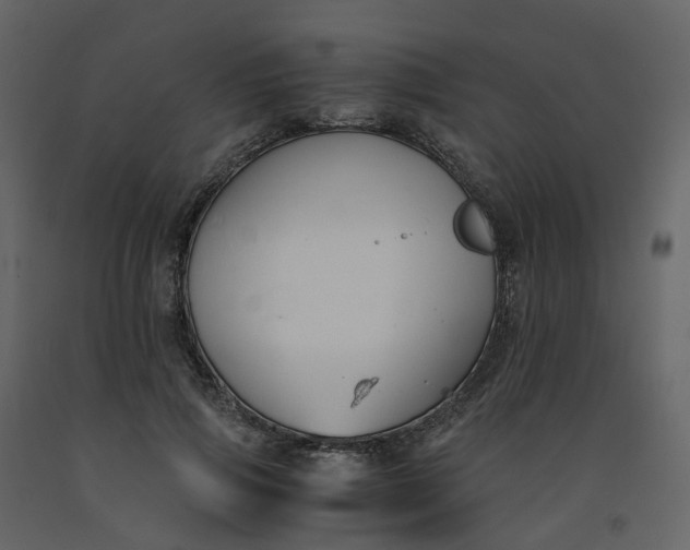 X0000092250741200710051258