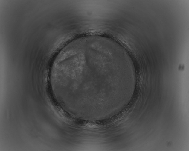 X0000092250742200710051258