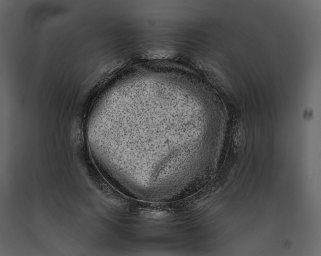 X0000092250743200710051258