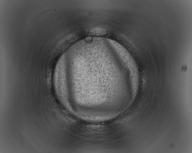 X0000092250745200710051258