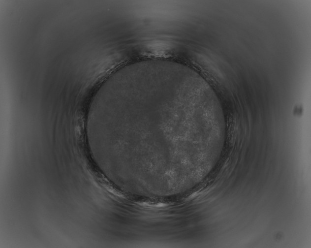 X0000092250747200710051258