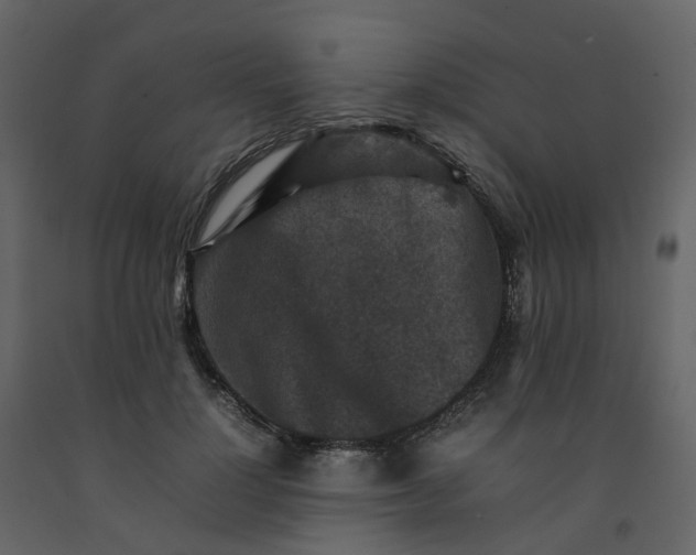 X0000092250748200710051258