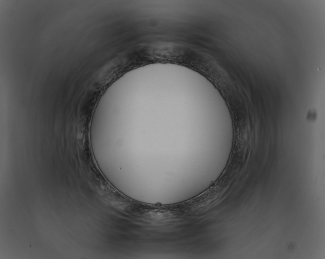 X0000092250749200710051258