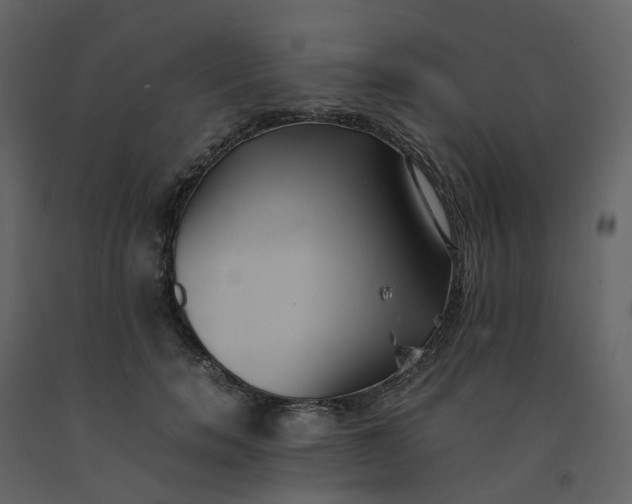 X0000092250750200710051258