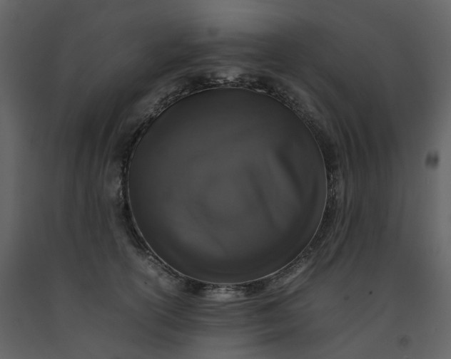 X0000092250754200710051258