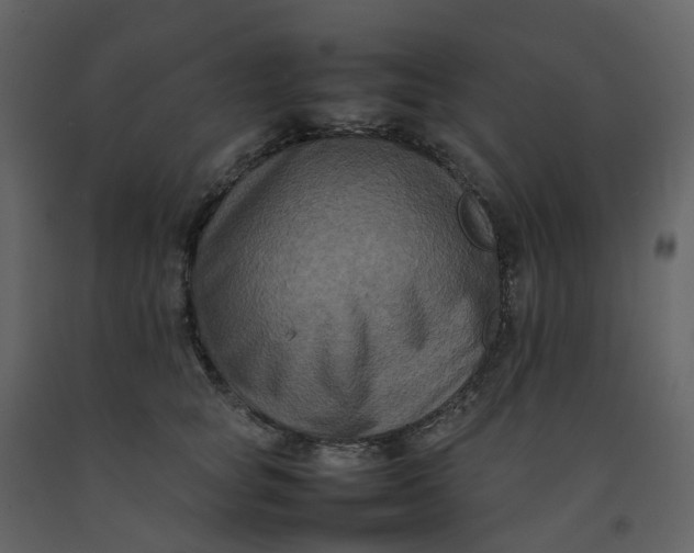 X0000092250757200710051258