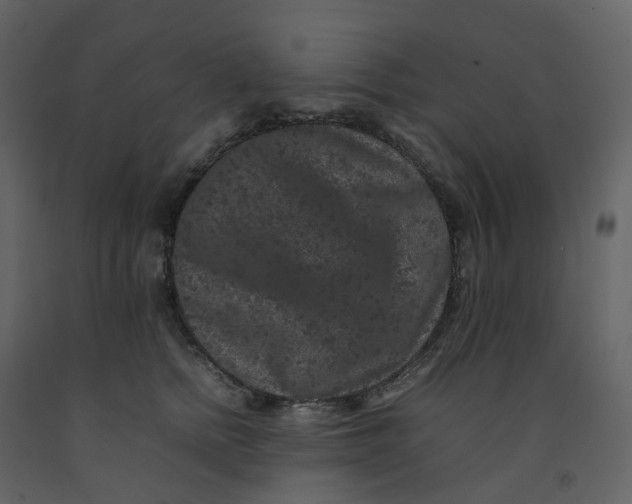 X0000092250758200710051258