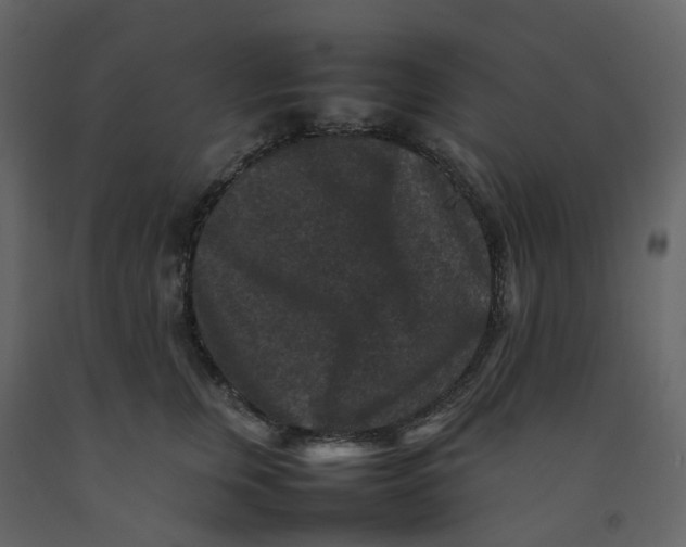 X0000092250759200710051258