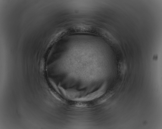 X0000092250760200710051258