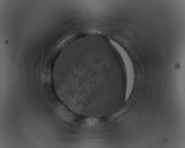 X0000092250762200710051258