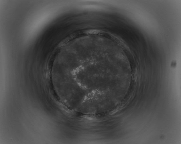 X0000092250763200710051258