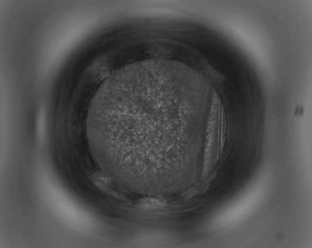 X0000092250765200710051258