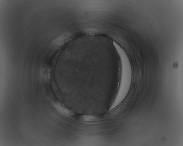 X0000092250766200710051258