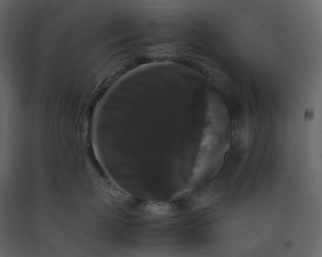 X0000092250767200710051258