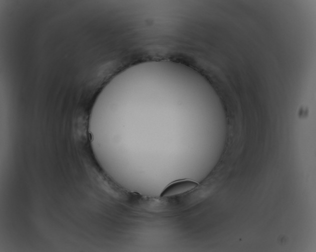 X0000092250768200710051258