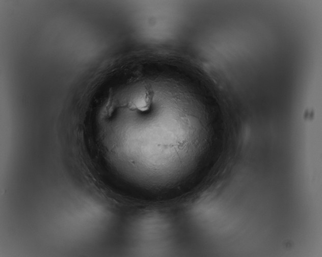 X0000092250769200710051258