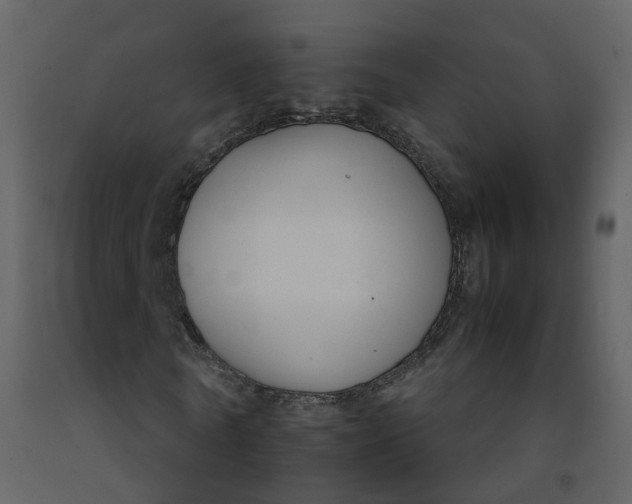 X0000092250770200710051258