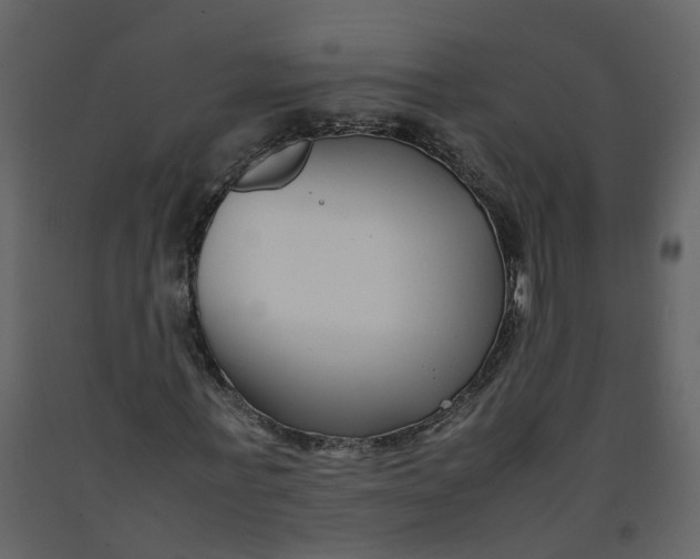 X0000092250771200710051258