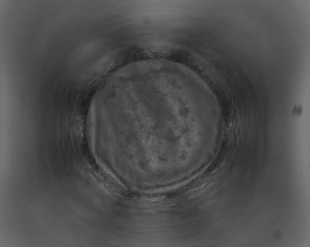 X0000092250772200710051258