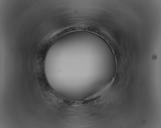 X0000092250773200710051258