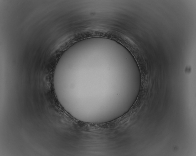 X0000092250774200710051258