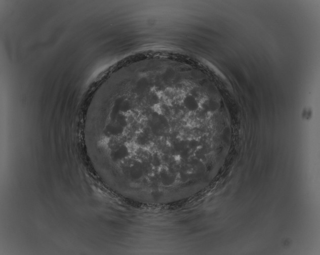 X0000092250775200710051258