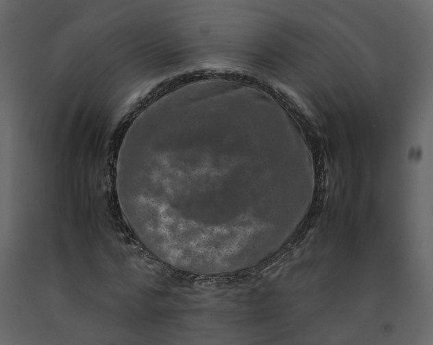 X0000092250776200710051258