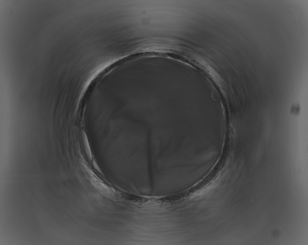 X0000092250779200710051258