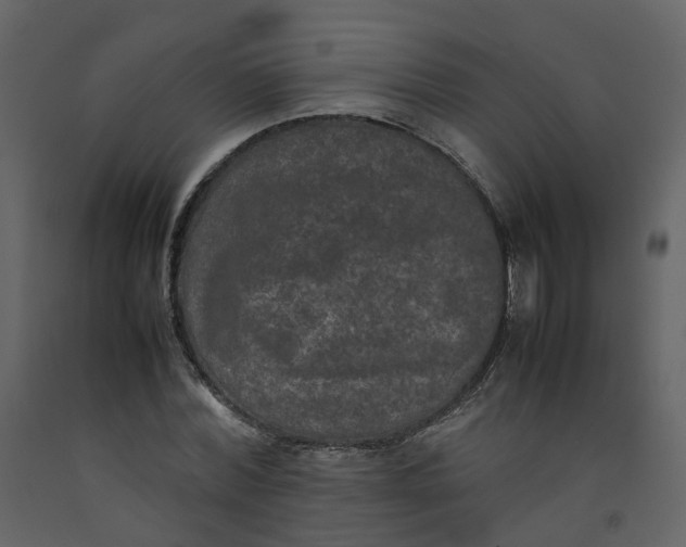 X0000092250780200710051258