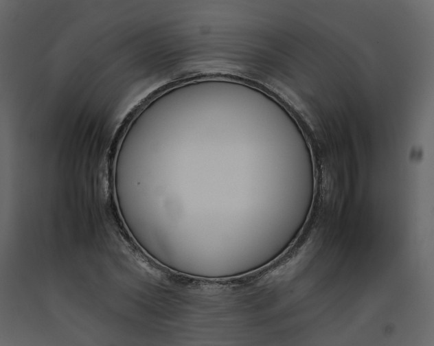 X0000092250782200710051258