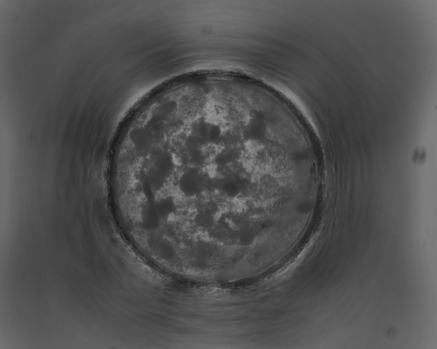 X0000092250783200710051258