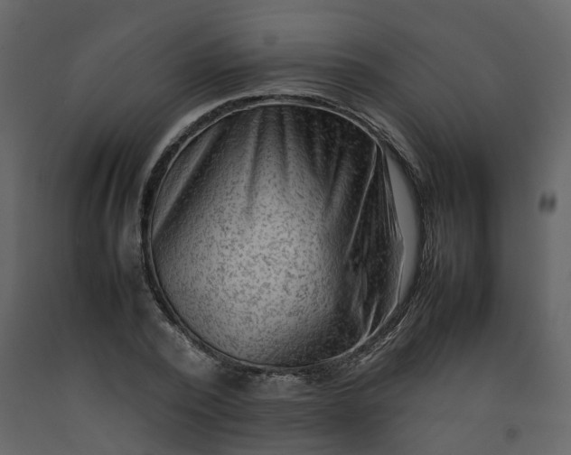 X0000092250784200710051258