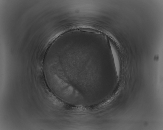 X0000092250785200710051258