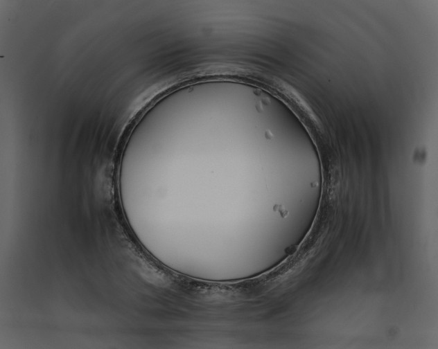 X0000092250786200710051258