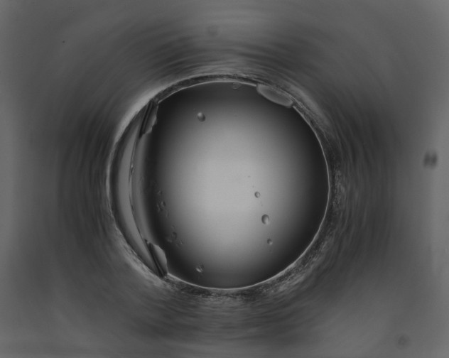 X0000092250788200710051258