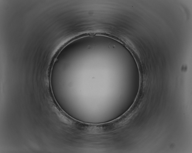 X0000092250789200710051258