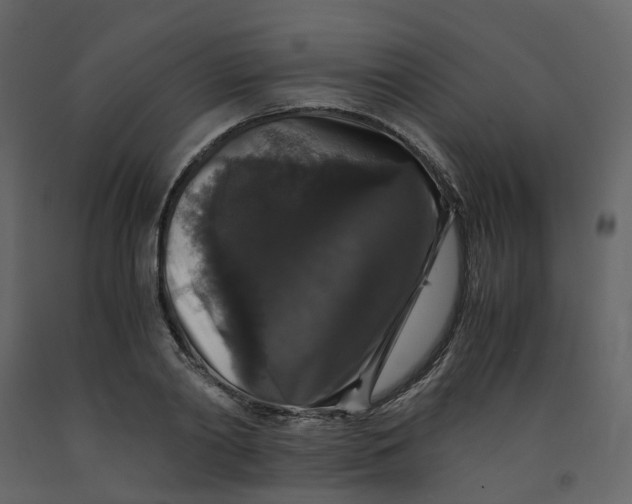 X0000092250790200710051258